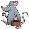 rodents